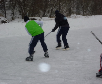 Hokejový turnaj 2010