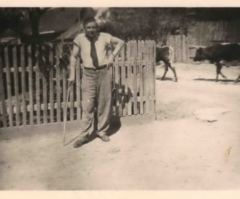 História