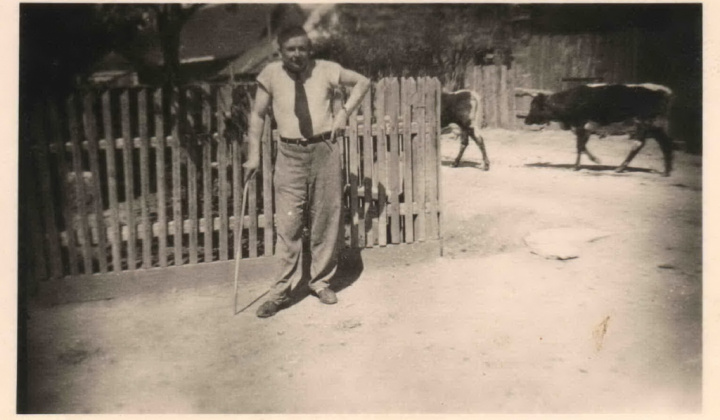 1. fotografia fotogalérie História